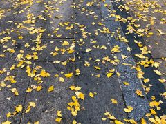 -百林公园-两江幸福广场