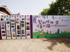 -嘉定紫藤园