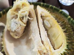 -榴莲BB 四季果园