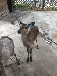 -萌宠亲子动物乐园(槐房万达店)