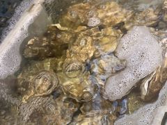 -坛南湾阿强农家乐.海鲜大排档老字号(福州地标美食店)