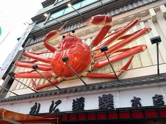 -蟹道乐(道顿堀本店)