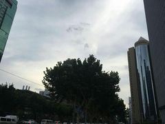 -上海锦江汤臣洲际大酒店壹阶层