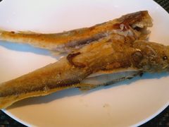 -阳光壹佰美爵酒店-绿洲西餐厅