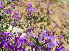 -碓臼峪自然风景区