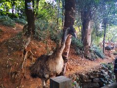 -昆明动物园