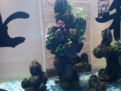 -上和臻品中国菜(花园街店)