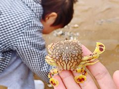 -青岛银沙滩