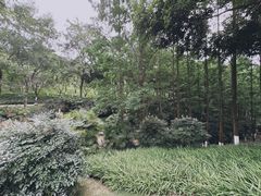 -重庆中央公园(渝北区)