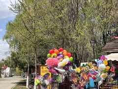 -长白岛森林公园