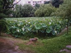 -武汉交通职业学院