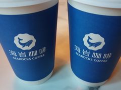 -海岩咖啡(南中环国金店)