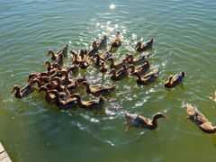 -野鸭湖国家湿地公园