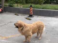 -宠颐生中康贝怡动物医院
