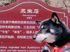 -伏羲大峡谷