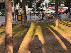 -长春市南湖公园