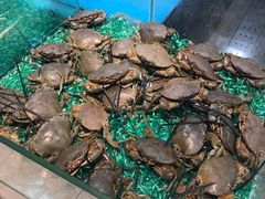 -盒马鲜生(曜一城店)