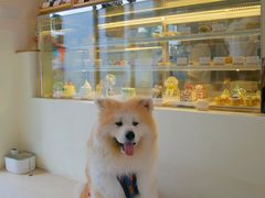-老外街