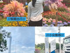 -海心沙亚运公园