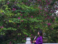 -广东温泉宾馆