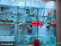 -喜欢吃鱼(非遗博览园总店)