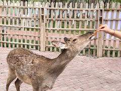 -水上乐园·欢乐世界