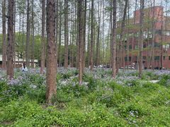 -上海交通大学(闵行校区)