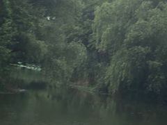 -新江湾城公园