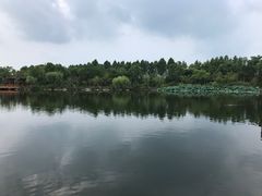 -上海怡沁园度假酒店