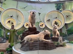 -陕西自然博物馆