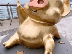 -星光大道