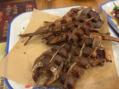 -渔家小院观海海肠捞饭地方菜(环海中路店)