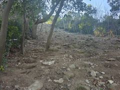 -北仑森林植物园