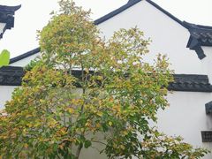 -程十发艺术馆