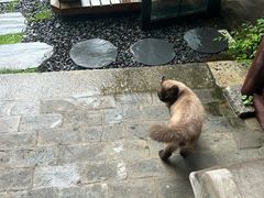 -西溪南古村落