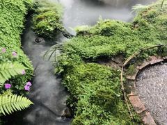 -Chom Cafe and Restaurant