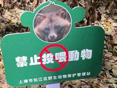 -上海佘山国家森林公园天马山园