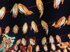 -丁香湖公园