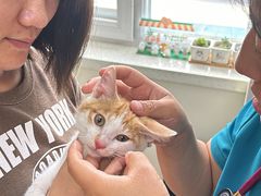 -美联众合动物医院·24h京西诊疗中心