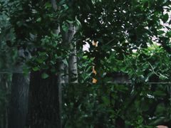 -boundaries籬苑(瑞光创意工厂-贰号院店)