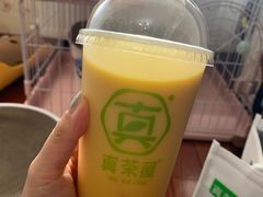 -真茶屋·0奶精(街道口一店)