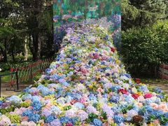 -上海共青森林公园