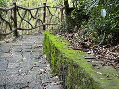 -海南热带雨林国家公园吊罗山景区