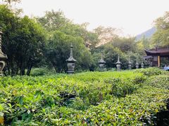-法云古村