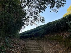 -西湖风景区十里琅珰-五云山