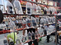 -华声天桥民俗文化园