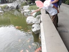 -口岸雕花楼