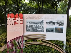 -新虹桥中心花园