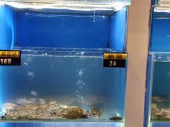 -赶海部落海鲜城(海阳路店)