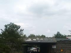 -白鹭湾湿地公园